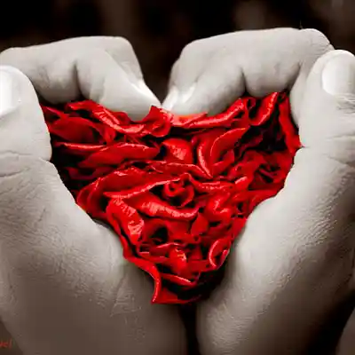Picture for song 'Love Without Limits' by artist 'KD of the NOC'