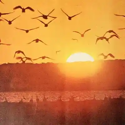 Picture for song 'stories - lofi type beat' by artist 'KroM Beatz'