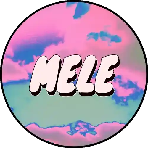 Picture for song 'Captain (Gunna Type Beat)' by artist 'MeleBeats'