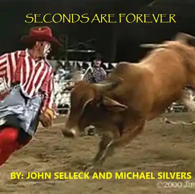 Picture for song 'SECONDS ARE FOREVER' by artist 'Michael Silvers'