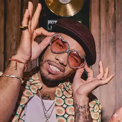 Picture for song '[Anderon .Paak] FUNKY - upbeat funk pop beat' by artist 'Petrofsky Beats'