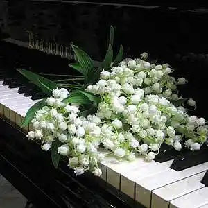 Picture for song 'FOREVER IN YOUR EYES - Gary Ramsey/ Smerage' by artist 'Rick Smerage'