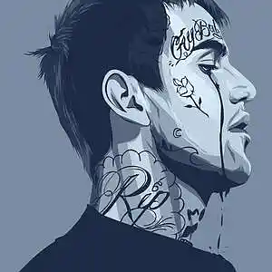 Picture for song 'Crows - Lil Peep Guitar Beat 2020' by artist 'Rupin Beats'