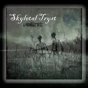 Picture for song 'Blink' by artist 'Skyletal Tryst'