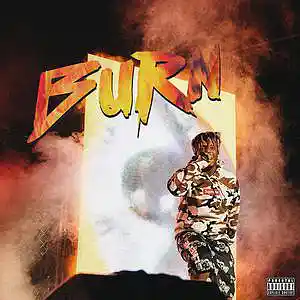 Picture for song 'Burn' by artist 'TreyCXRE'