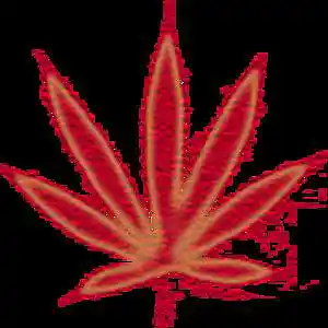 Picture for song 'Wiz Khalifa type beat(pass dat)' by artist '2win804'