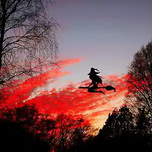 Picture for song 'Hexenwalzer' by artist 'Andi Wendt'