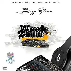 Picture for song 'It Ain't Right (Extended Version)' by artist 'Bigg Flame's Promoter'