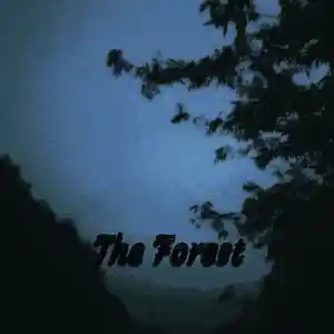 Picture for song 'The Forest' by artist 'Donny Beatz'