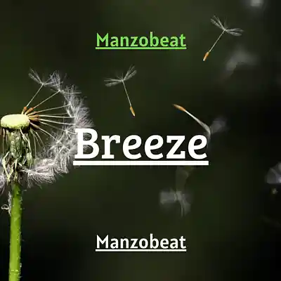 Picture for song 'Breeze' by artist 'Manzobeat'