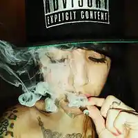 Picture for song 'Smoke DZA type Beat - Smoke Break' by artist 'moguljam'