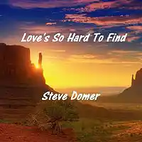Picture for song 'Love's So Hard To Find' by artist 'Steve Domer'