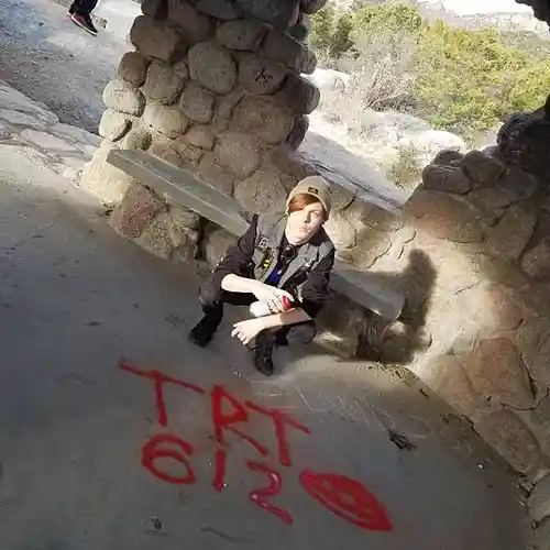 Artist picture