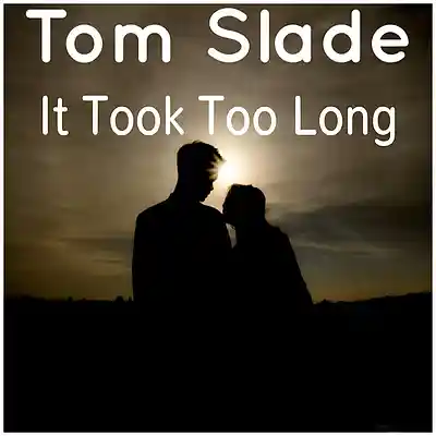 Picture for song 'It Took Too Long' by artist 'Tom Slade'