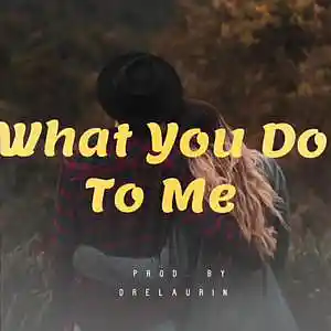 Picture for song 'What You Do to Me' by artist 'DreLaurin'