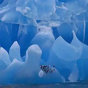 Picture for song 'Ice Crush' by artist 'Frank Axtell'