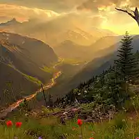 Picture for song 'Hamsafar' by artist 'Jazmahalis'