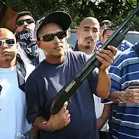 Picture for song 'shootas on deck' by artist 'lil ponyboy'