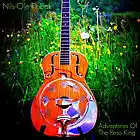 Picture for song 'Face Of The Clown' by artist 'Nils-Ole Finbak'