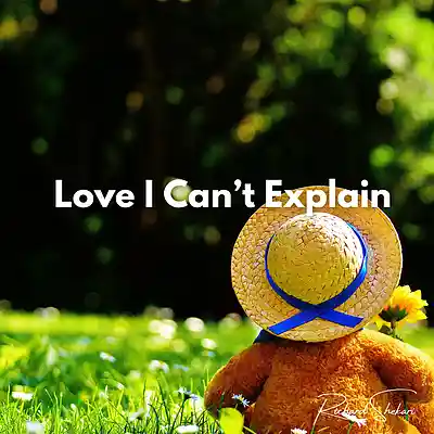 Picture for song 'Love I Cant Explain' by artist 'Richard Shekari'
