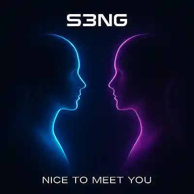 Picture for song 'Nice to Meet You' by artist 'S3NG'