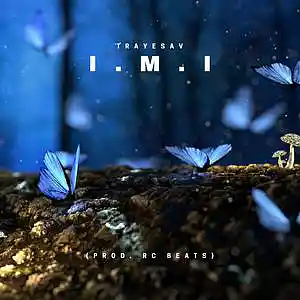 Picture for song 'I.M.I (Prod. RC Beats)' by artist 'TrayeSav'