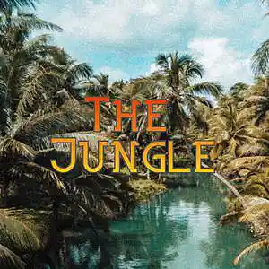 Picture for song 'The Jungle' by artist 'Anac On The Beat'