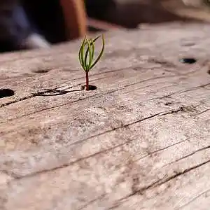 Picture for song 'Castonade' by artist 'Andi Wendt'