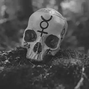 Picture for song 'The Victim' by artist 'FiveBaksFam'