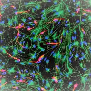 Picture for song 'Organized Chaos' by artist 'Gabriel 880'