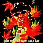 Picture for song 'the death notice' by artist 'M.O.E. C.R.E.A.M. GANG'