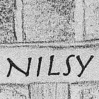 Picture for song 'Home to Stay' by artist 'Nils-Ole Finbak'