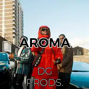Picture for song 'AFRO - Aroma' by artist 'ProdByDGProductions'