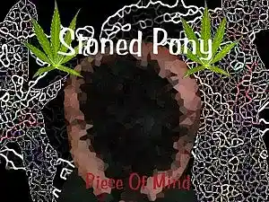 cover pic