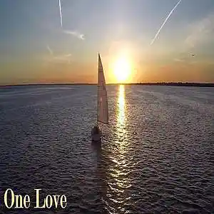 Picture for song 'One Love' by artist 'Sean Ferree'