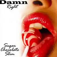 Picture for song 'Damn Right' by artist 'Sugar Chocolate Slim'