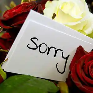 Picture for song 'Letter Of Apology' by artist '2uo8eats'