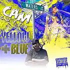 Picture for song 'Top Notch Chick' by artist 'CAM CUTTA'