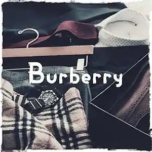 Picture for song 'Burberry (Dreamville Type Beat) - Devezin.com' by artist 'Devezin'