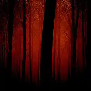 Picture for song 'ILLUSION' by artist 'HOLLYWOOD LEGEND PRODUCTIONS'