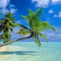Picture for song 'Paradise (club dance) ***HIT***TOP 10 song' by artist 'Proline beats'