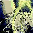 Picture for song 'Instant Audioshot (Southamerica The Andes)' by artist 'Rinaldo'