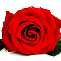 Picture for song 'This Is 4 U Part 4 Of 5 Version 3 By Royal Tee Be' by artist 'Royal Tee Beatz'