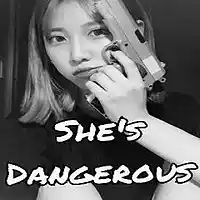 Picture for song 'Loaded Gun (She's Dangerous)' by artist 'The Jay Dyall Project'