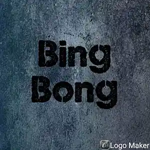 Picture for song '_TNK_BingBong_' by artist 'The New Kid'