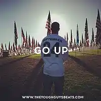 Picture for song 'Go Up' by artist 'TheToughGuys'