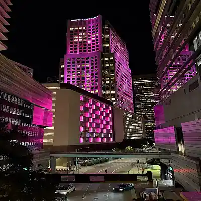 Picture for song '(71 BPM) Seraphic (prod. zJakkies)' by artist 'zJakkies'