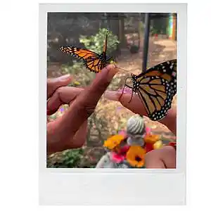 Picture for song '"Te Extraño" Dancehall Beat' by artist 'Daniel Alonso'