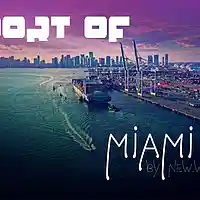 Picture for song 'port of miami(FREE DL)' by artist 'new.wav'