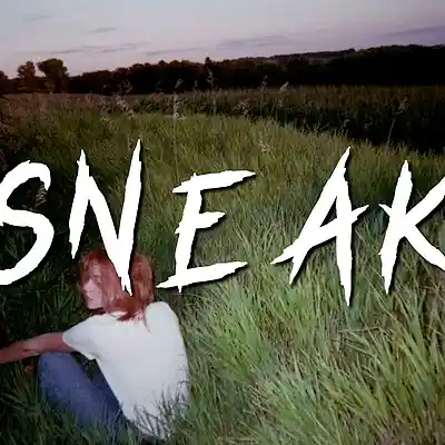 Picture for song 'Sneak (Boom Bap type beat)' by artist 'RVSN beats'